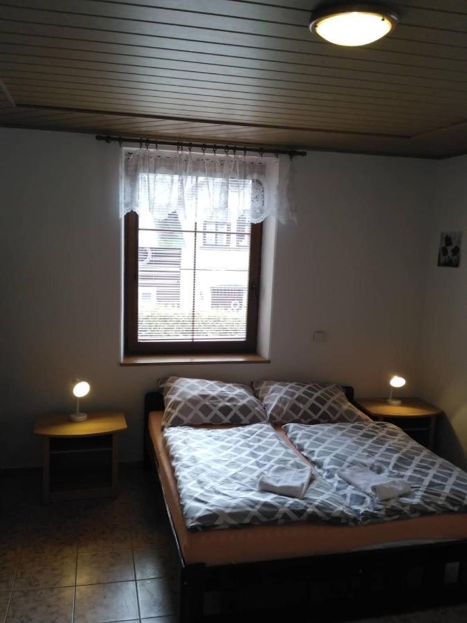 Apartma Doubek ロキトニツェ・ナト・イゼロウ エクステリア 写真