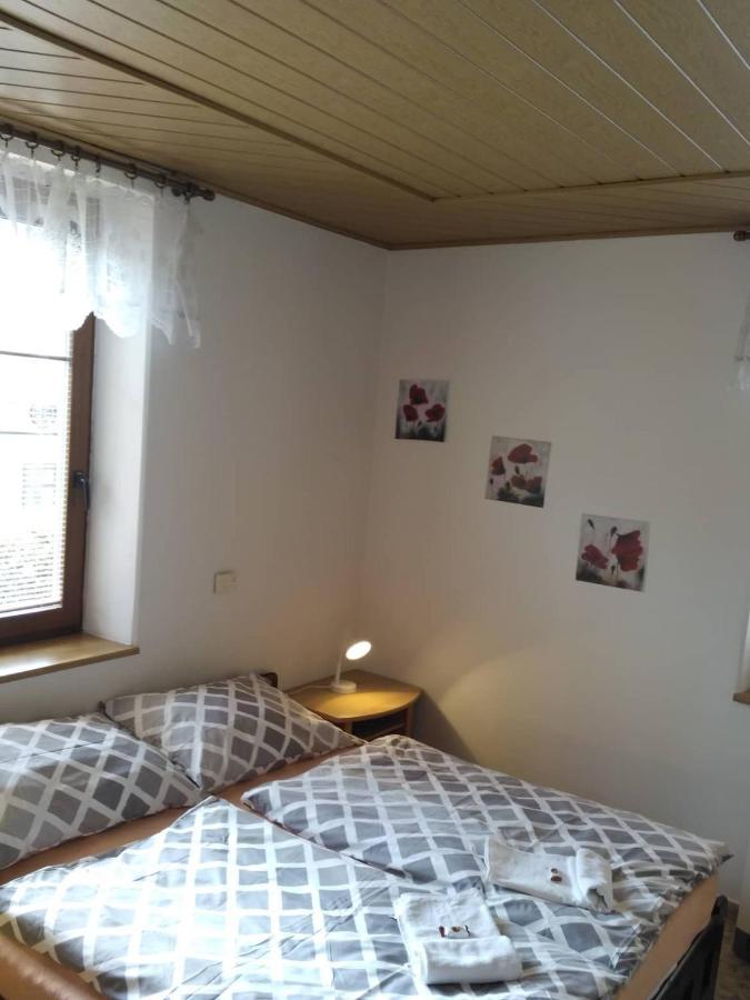 Apartma Doubek ロキトニツェ・ナト・イゼロウ エクステリア 写真
