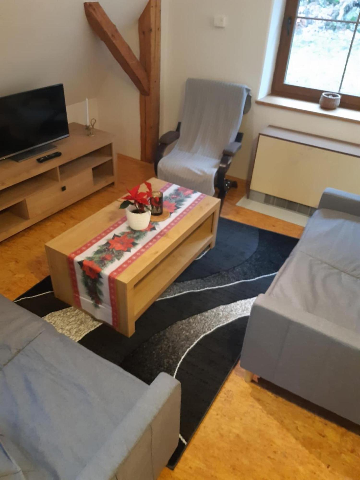 Apartma Doubek ロキトニツェ・ナト・イゼロウ エクステリア 写真