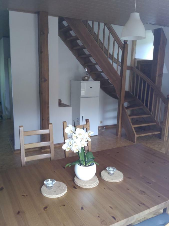 Apartma Doubek ロキトニツェ・ナト・イゼロウ エクステリア 写真